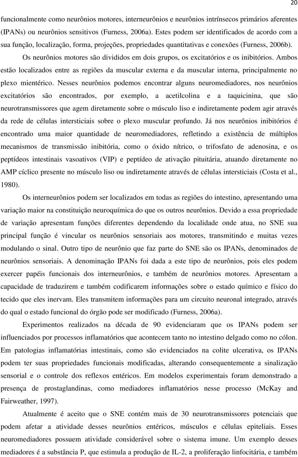 Os neurônios motores são divididos em dois grupos, os excitatórios e os inibitórios.