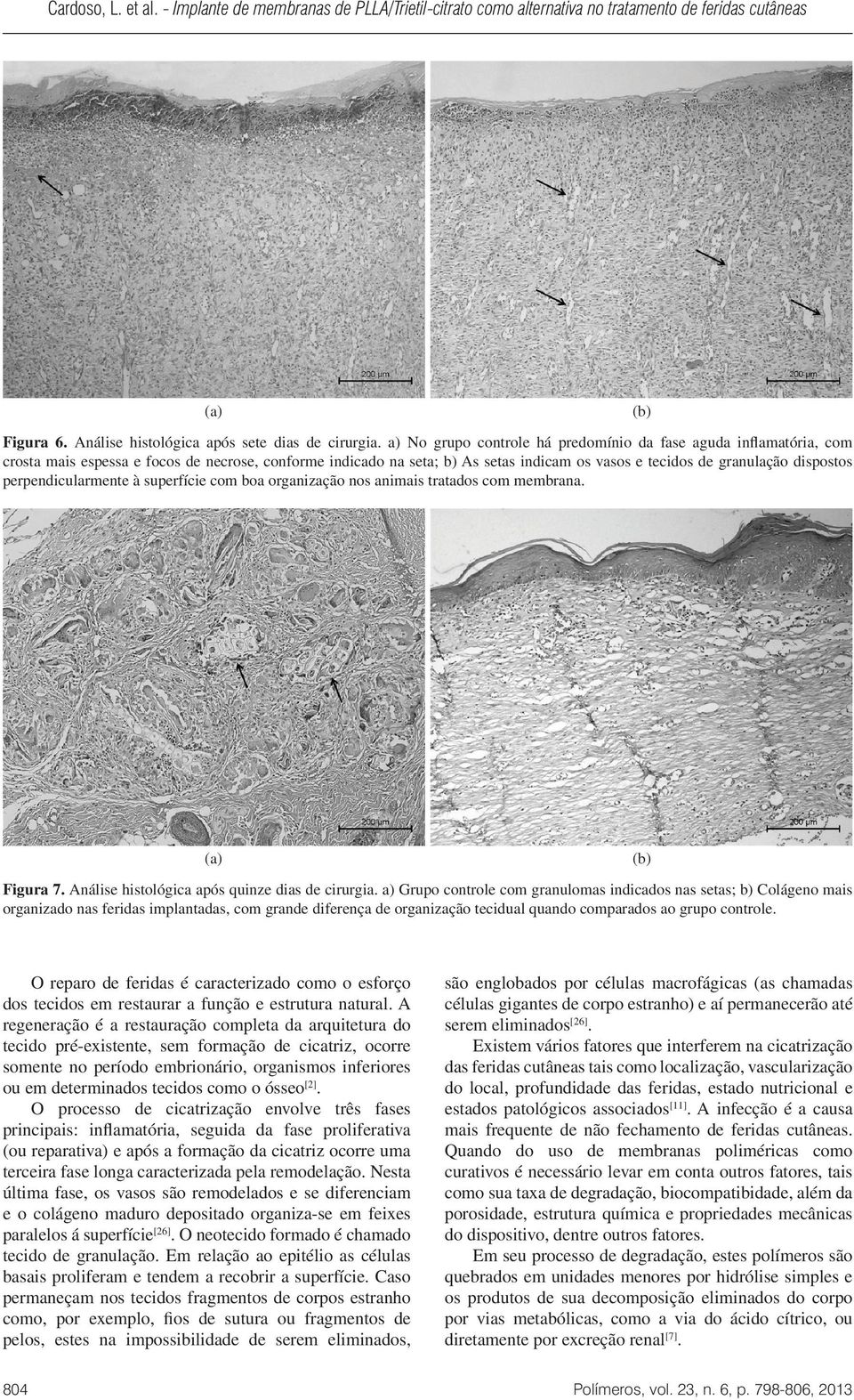 perpendicularmente à superfície com boa organização nos animais tratados com membrana. Figura 7. Análise histológica após quinze dias de cirurgia.