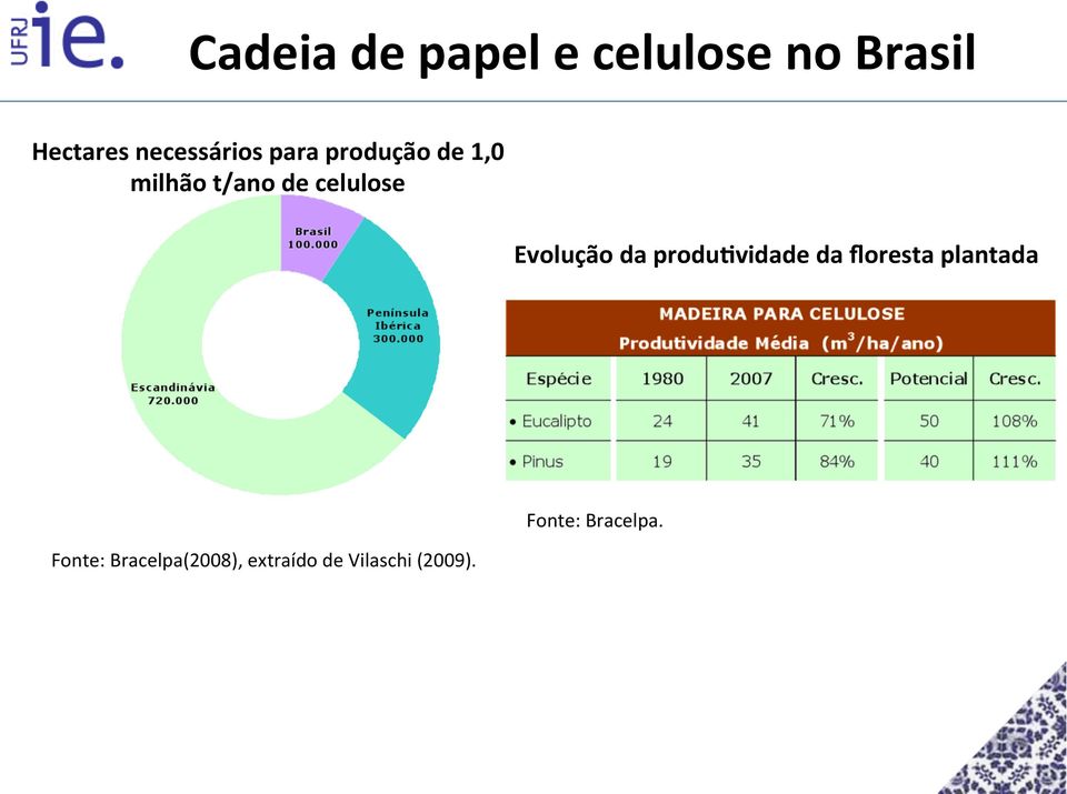 celulose Evolução da produ>vidade da floresta