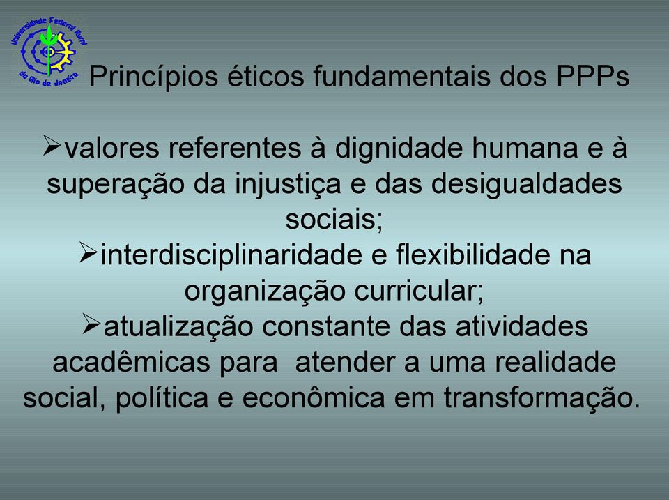 flexibilidade na organização curricular; atualização constante das atividades