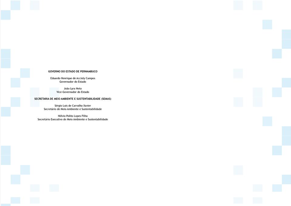 Secretário de Meio Ambiente e Sustentabilidade Hélvio Polito Lopes Filho Secretário Executivo de Meio Ambiente e