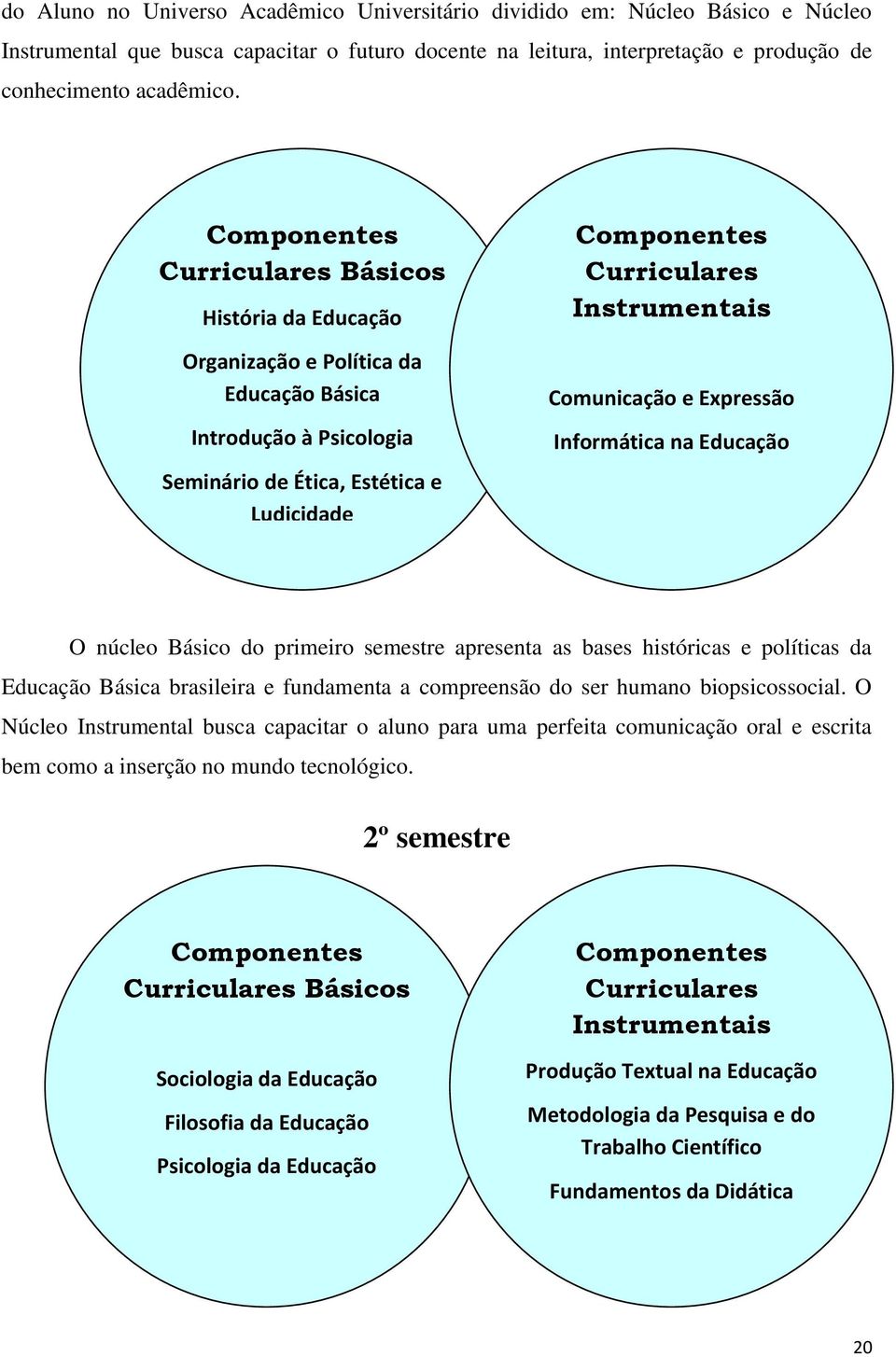 Instrumentais Comunicação e Expressão Informática na Educação O núcleo Básico do primeiro semestre apresenta as bases históricas e políticas da Educação Básica brasileira e fundamenta a compreensão