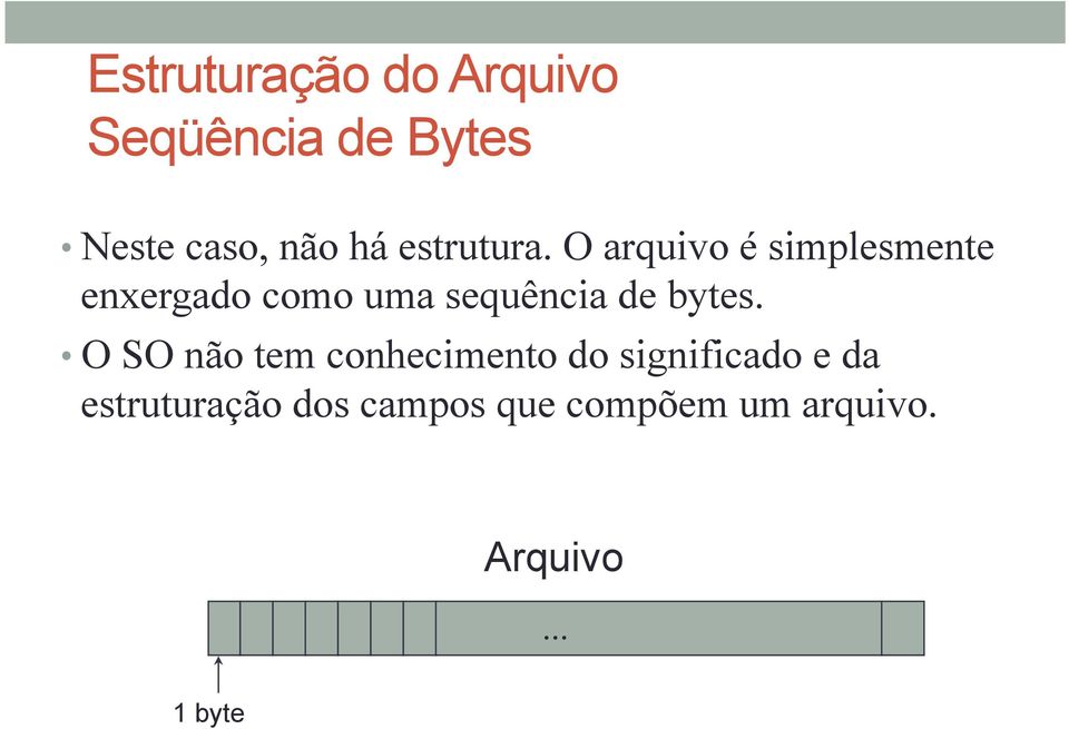 O arquivo é simplesmente enxergado como uma sequência de