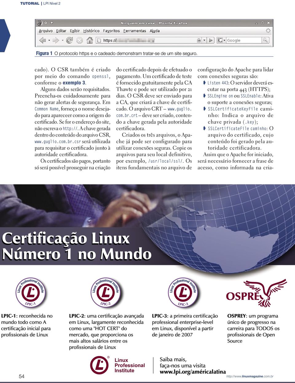 Se for o endereço do site, não escreva o http://. A chave gerada dentro do conteúdo do arquivo CSR, www.guglio.com.br.csr será utilizada para requisitar o certificado junto à autoridade certificadora.