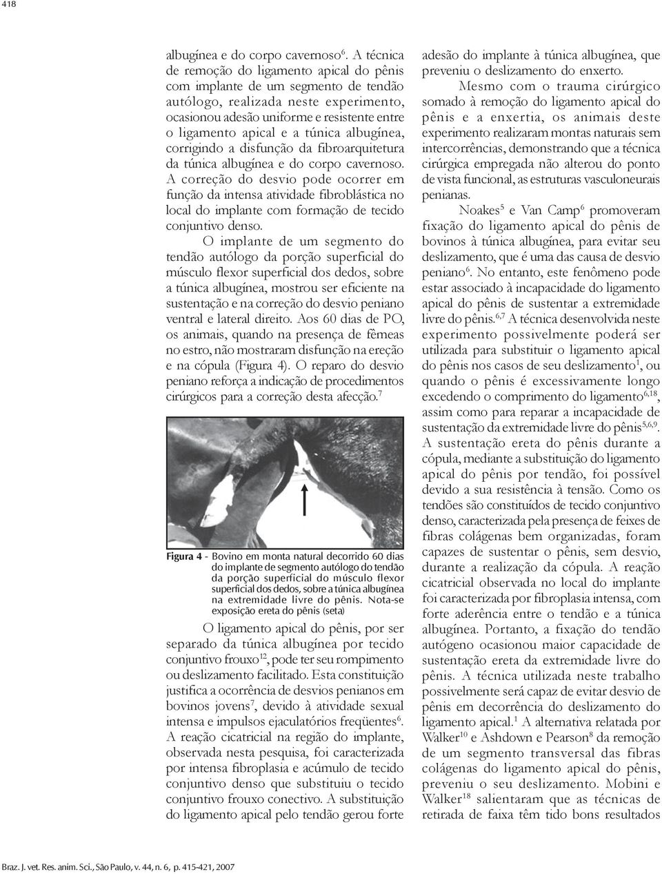 túnica albugínea, corrigindo a disfunção da fibroarquitetura da túnica albugínea e do corpo cavernoso.