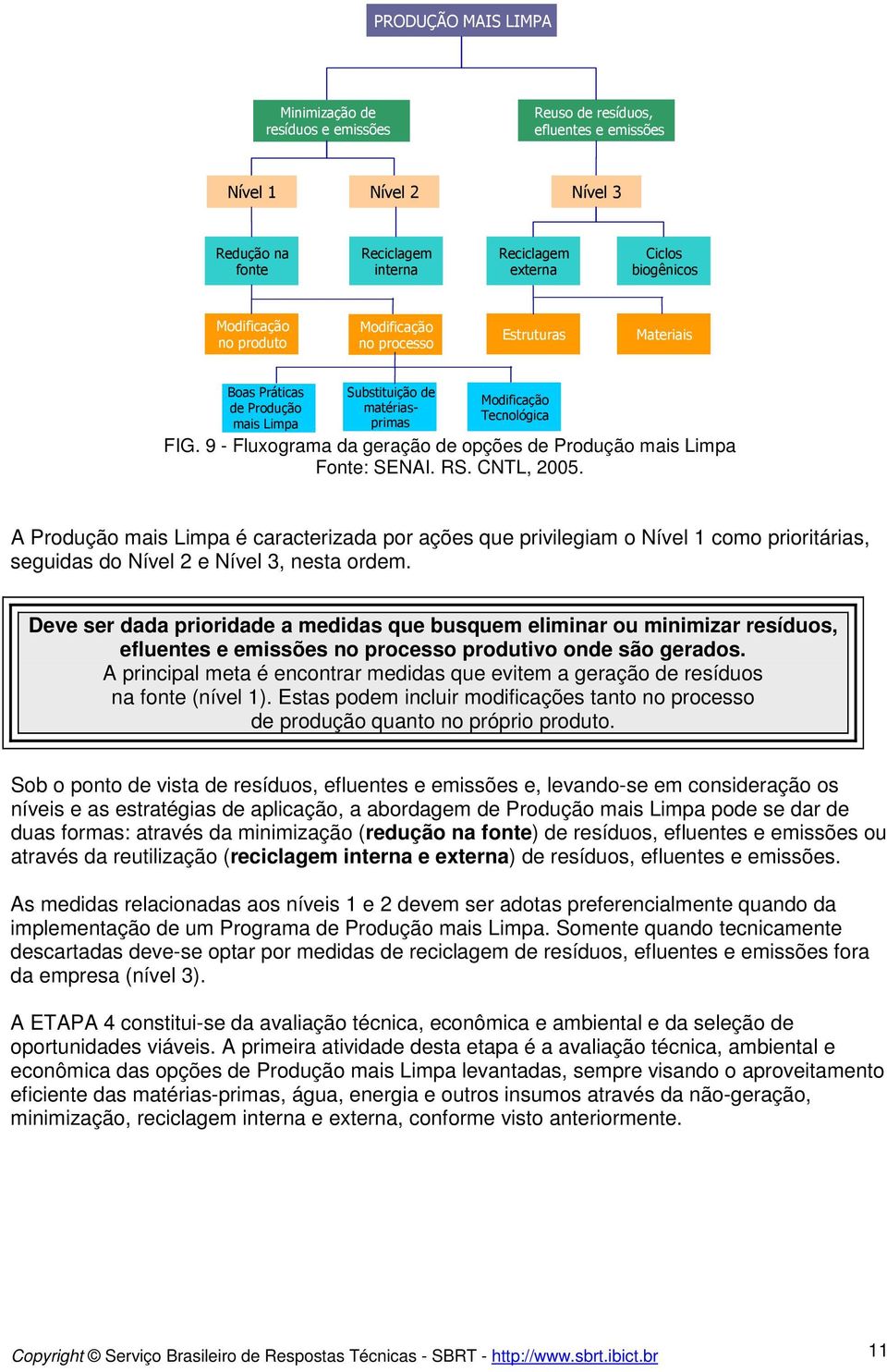 9 - Fluxograma da geração de opções de Produção mais Limpa A Produção mais Limpa é caracterizada por ações que privilegiam o Nível 1 como prioritárias, seguidas do Nível 2 e Nível 3, nesta ordem.