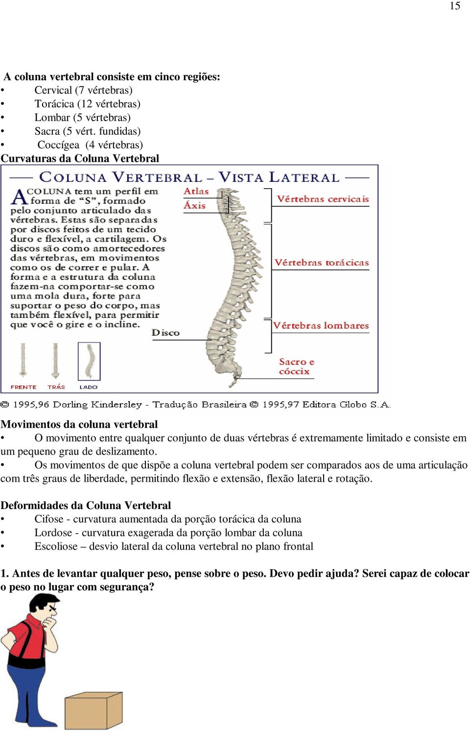 grau de deslizamento. Os movimentos de que dispõe a coluna vertebral podem ser comparados aos de uma articulação com três graus de liberdade, permitindo flexão e extensão, flexão lateral e rotação.