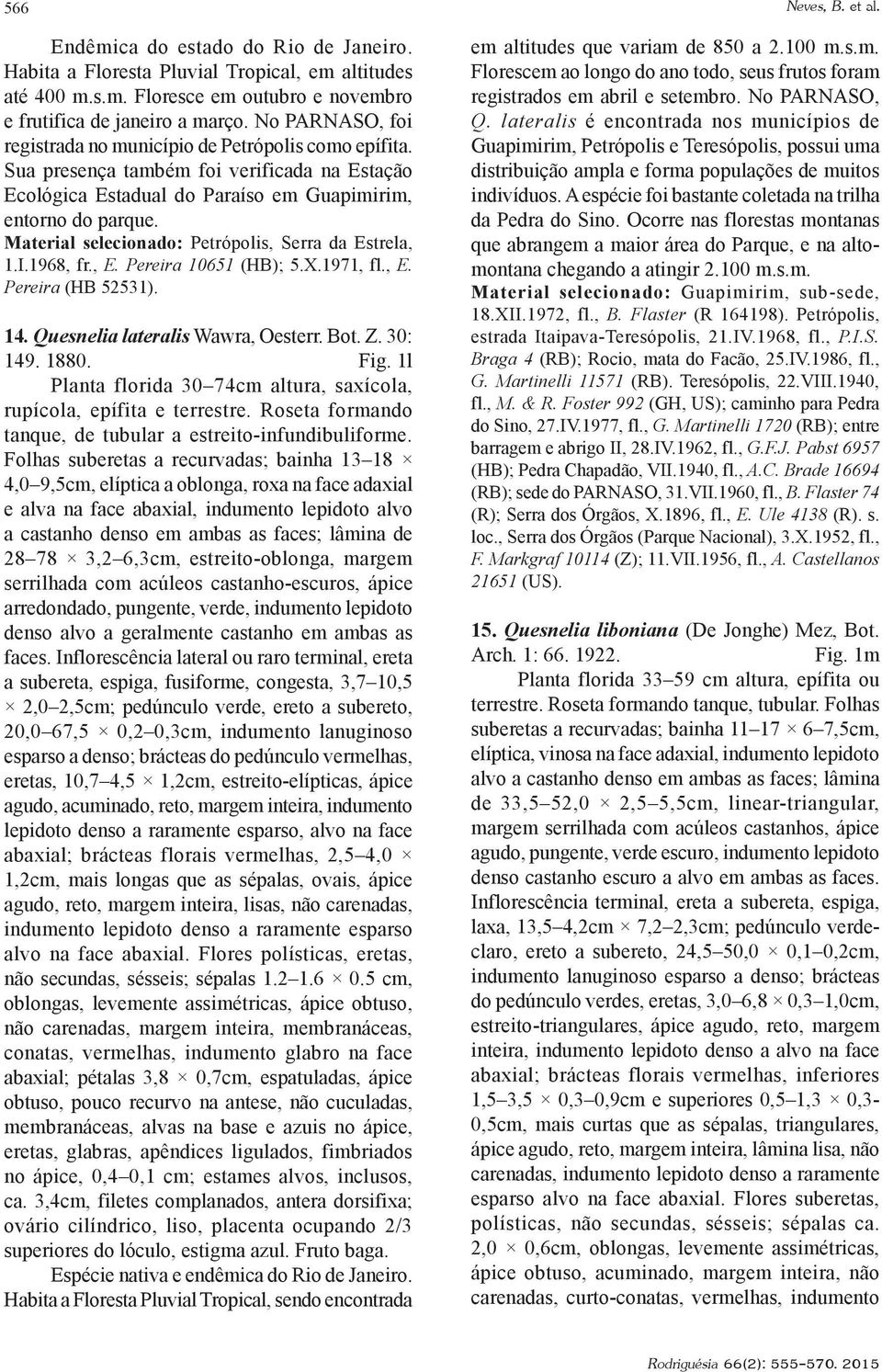 Material selecionado: Petrópolis, Serra da Estrela, 1.I.1968, fr., E. Pereira 10651 (HB); 5.X.1971, fl., E. Pereira (HB 52531). 14. Quesnelia lateralis Wawra, Oesterr. Bot. Z. 30: 149. 1880. Fig.