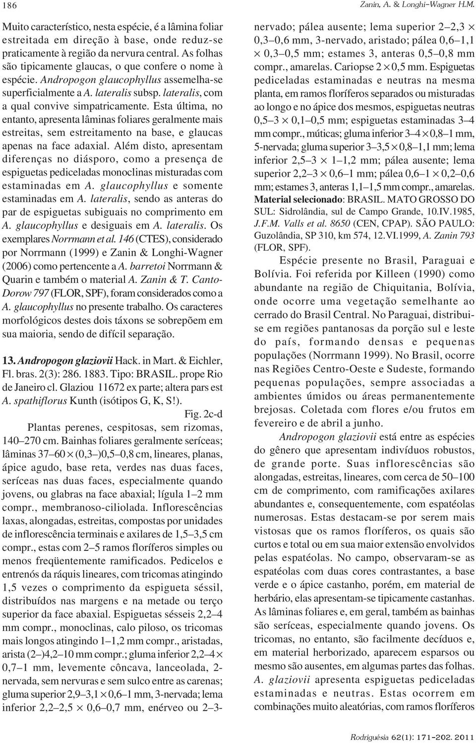 Esta última, no entanto, apresenta lâminas foliares geralmente mais estreitas, sem estreitamento na base, e glaucas apenas na face adaxial.