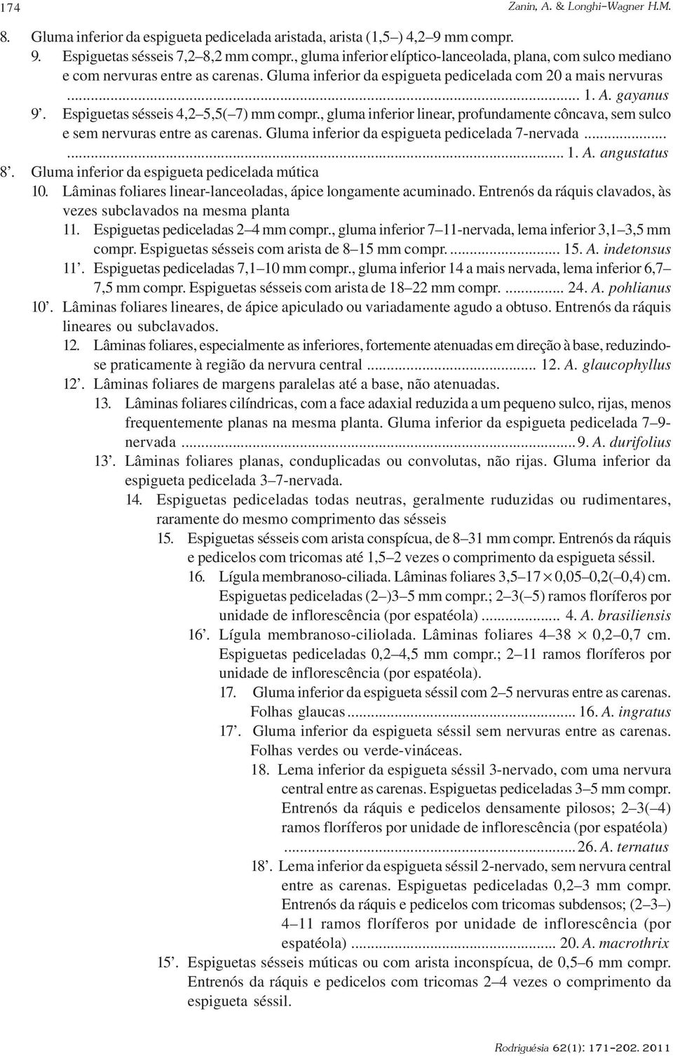 Espiguetas sésseis 4,2 5,5( 7) mm compr., gluma inferior linear, profundamente côncava, sem sulco e sem nervuras entre as carenas. Gluma inferior da espigueta pedicelada 7-nervada...... 1. A.