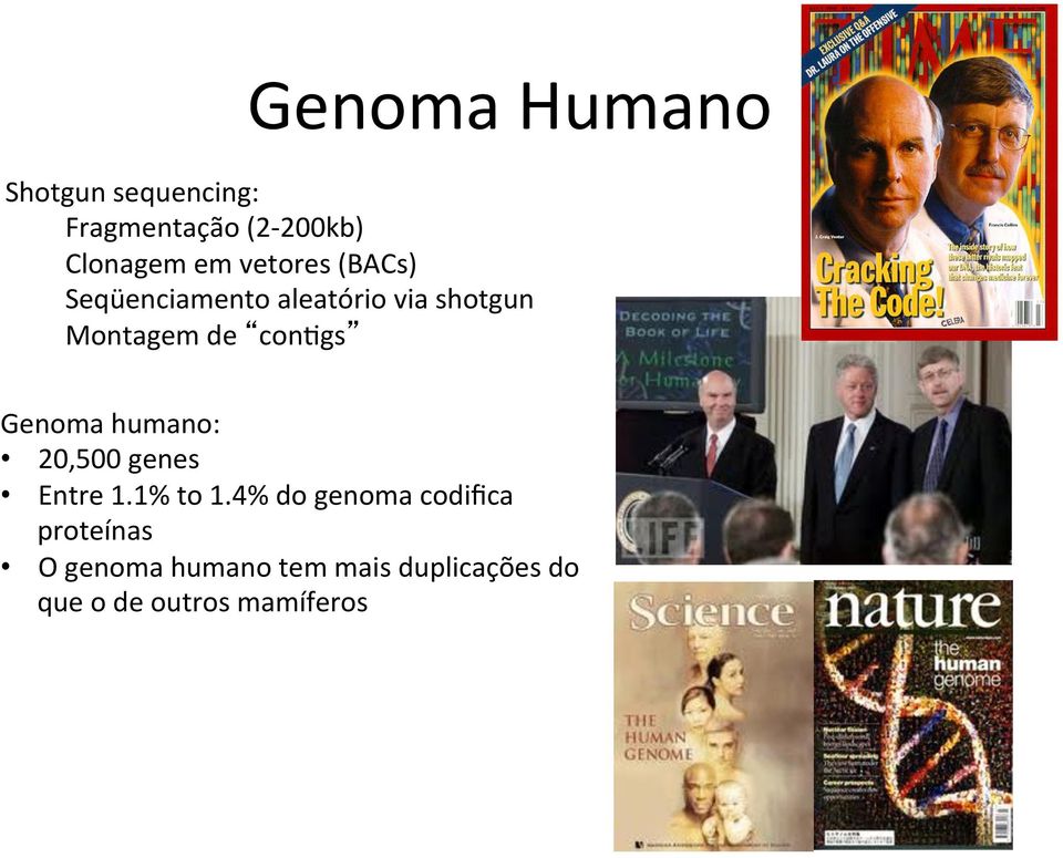 Genoma humano: 20,500 genes Entre 1.1% to 1.