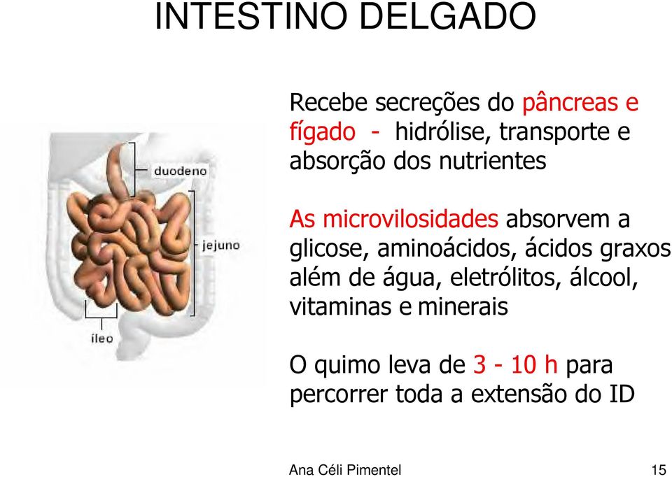 aminoácidos, ácidos graxos além de água, eletrólitos, álcool, vitaminas e