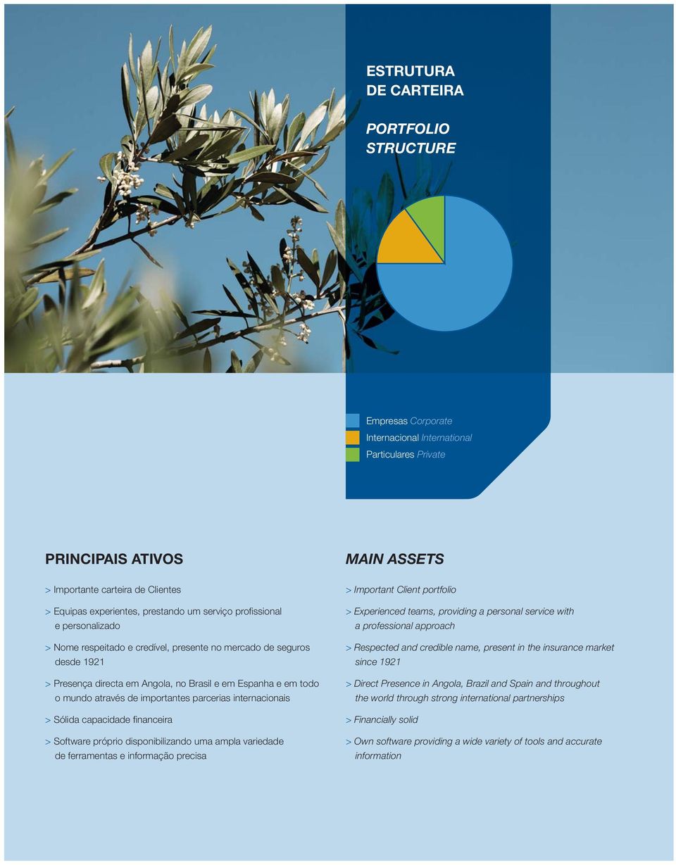 através de importantes parcerias internacionais > Sólida capacidade financeira > Software próprio disponibilizando uma ampla variedade de ferramentas e informação precisa > Important Client portfolio