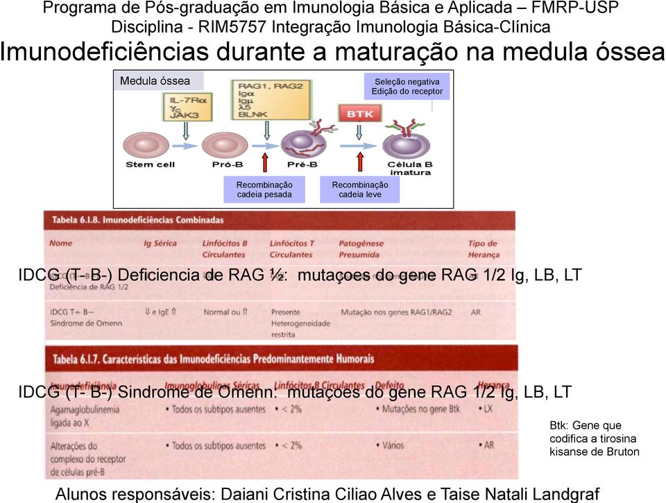 Recombinação cadeia leve IDCG (T- B-) Deficiencia de RAG ½: mutaçoes do gene RAG 1/2 Ig, LB, LT IDCG