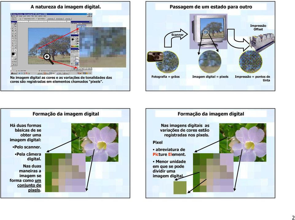 elementos chamados pixels.