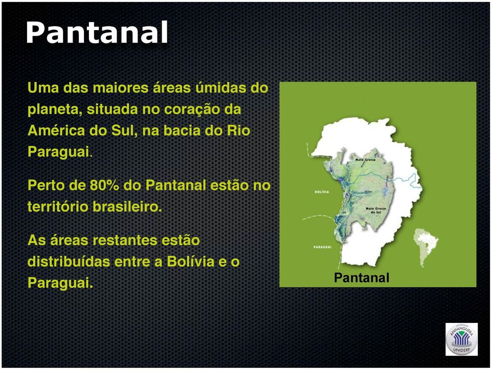 Perto de 80% do Pantanal estão no território brasileiro.