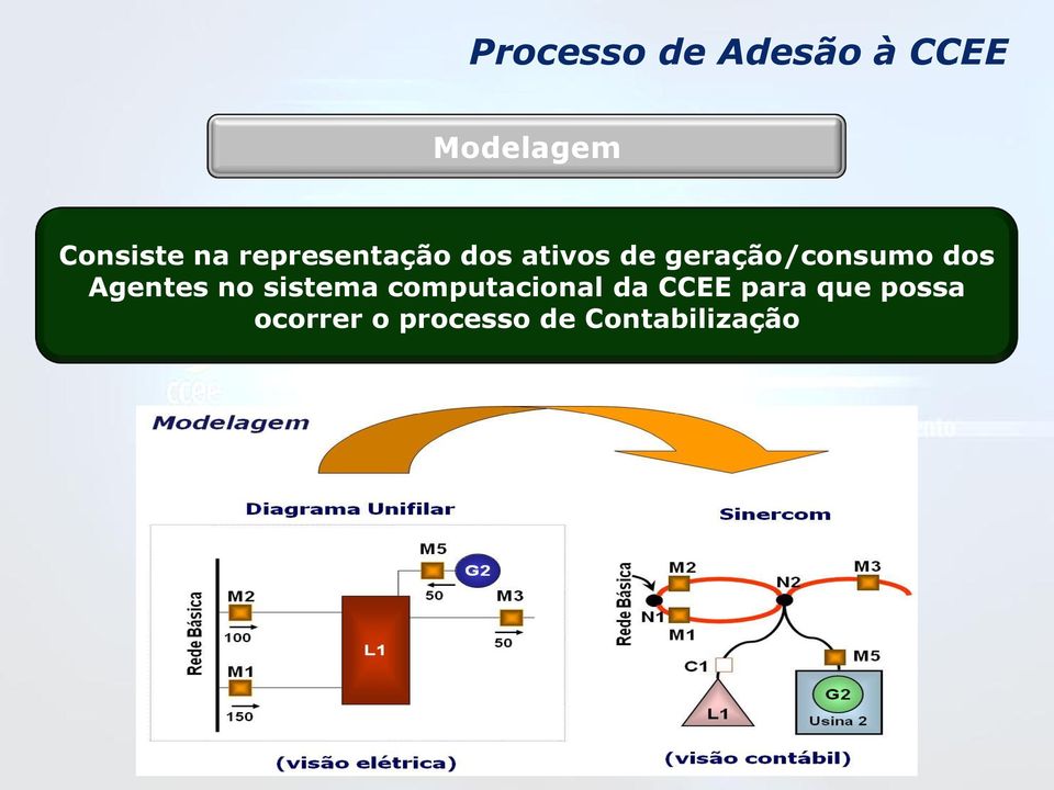 dos Agentes no sistema computacional da CCEE