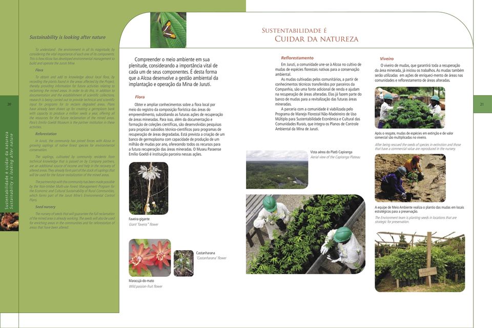 To obtain and add to knowledge about local fl ora, by serão utilizadas em ações de enriqueci-mento de áreas nas As mudas cultivadas pelos comunitários, a partir de recording the plants found in the