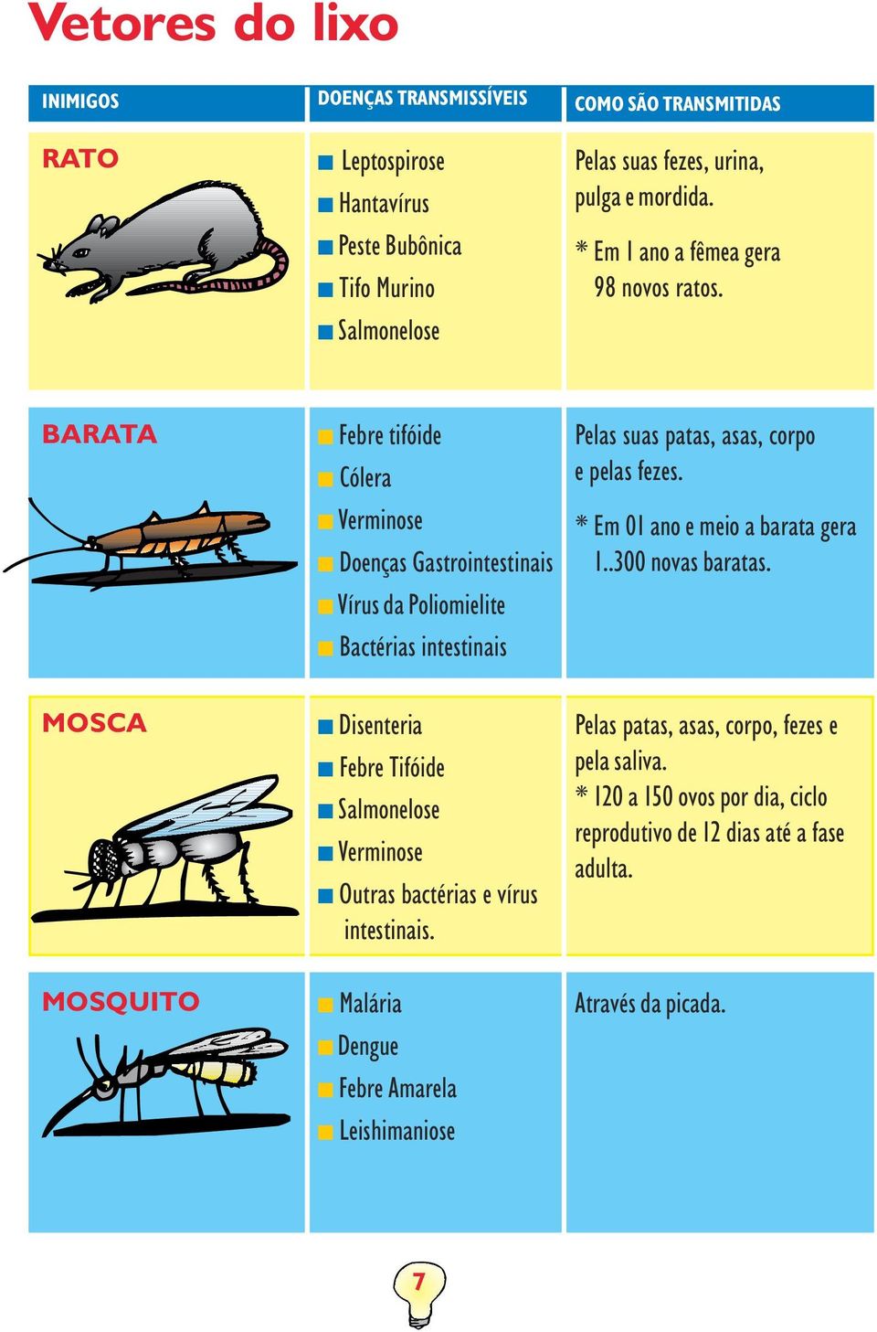 BARATA n ebre tifóide n Cólera n Verminose n Doenças Gastrointestinais n Vírus da Poliomielite n Bactérias intestinais Pelas suas patas, asas, corpo e pelas fezes.