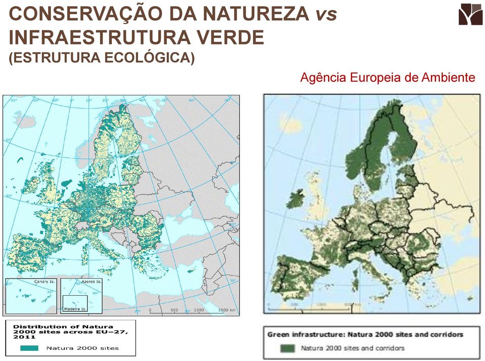 (ESTRUTURA ECOLÓGICA)