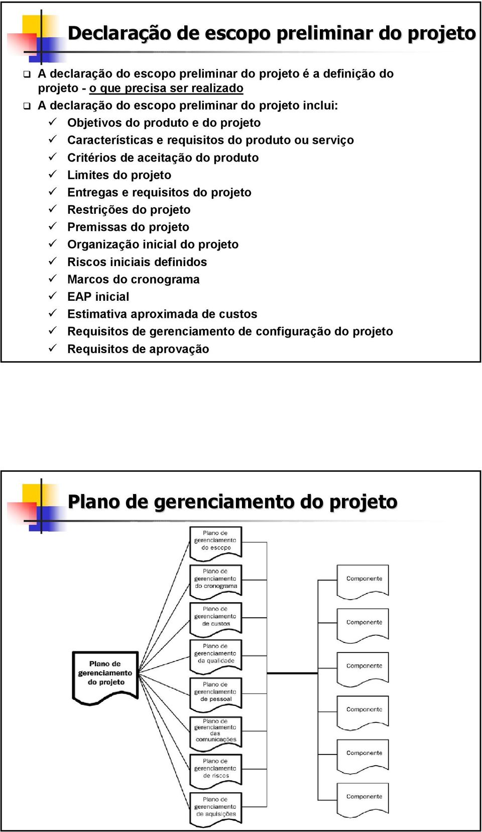 Limites do projeto Entregas e requisitos do projeto Restrições do projeto Premissas do projeto Organização inicial do projeto Riscos iniciais definidos Marcos
