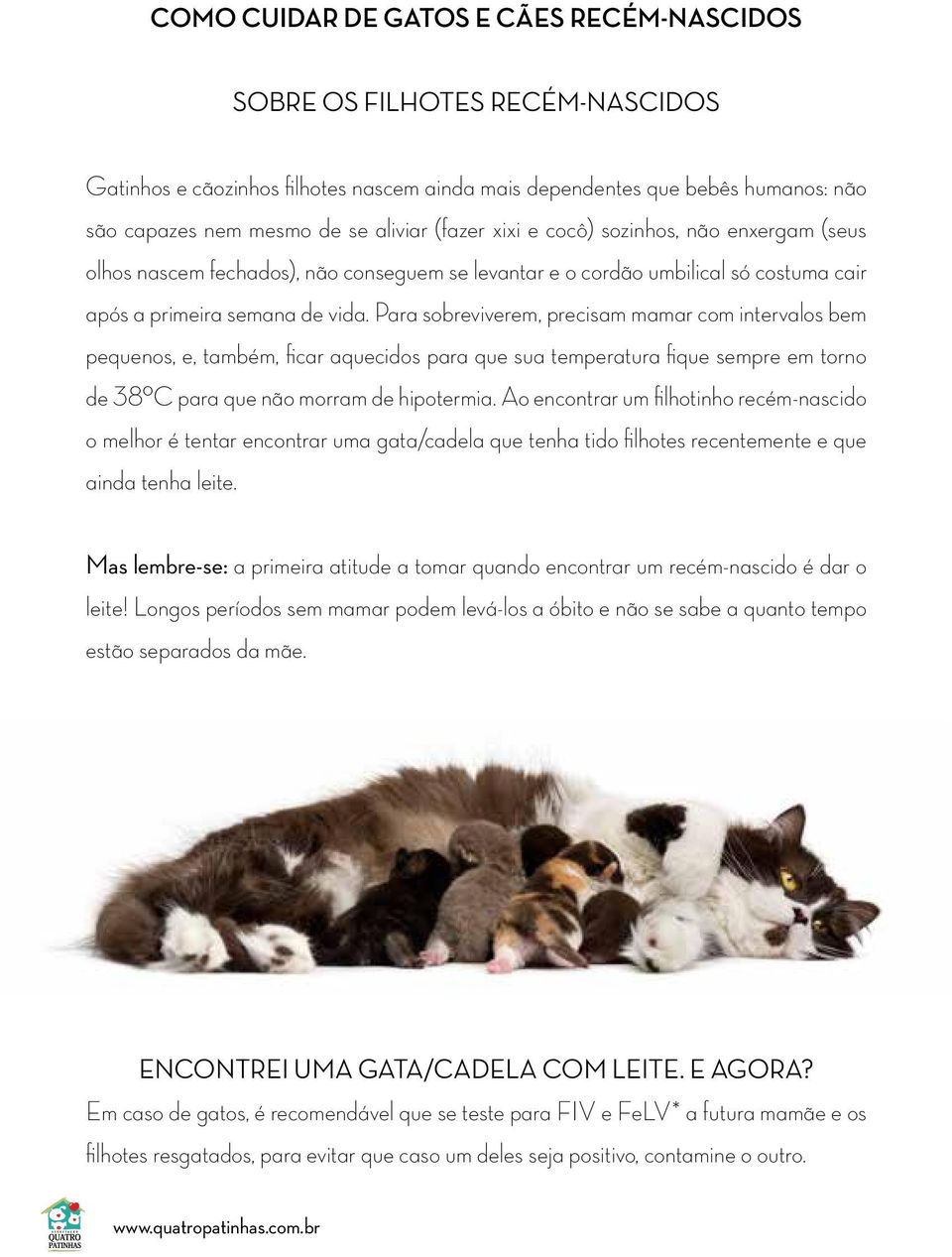 Para sobreviverem, precisam mamar com intervalos bem pequenos, e, também, ficar aquecidos para que sua temperatura fique sempre em torno de 38ºC para que não morram de hipotermia.