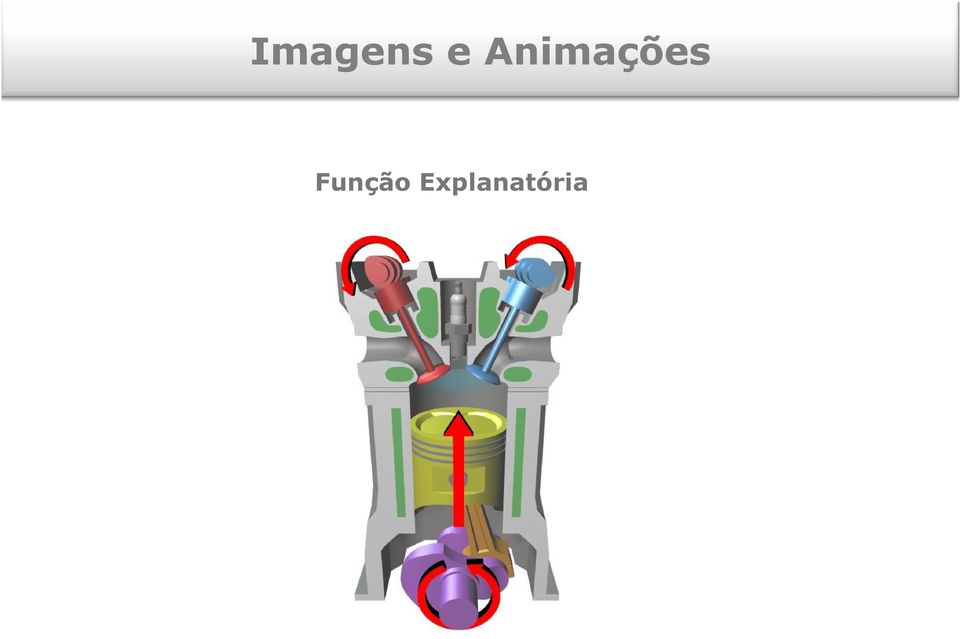 Função