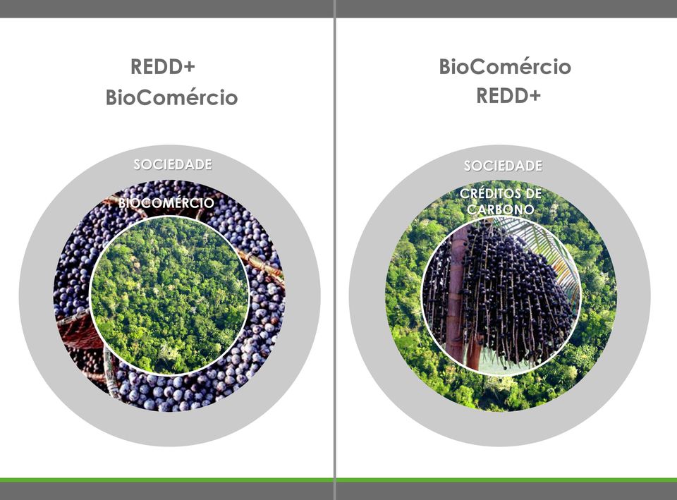 SOCIEDADE BIOCOMÉRCIO