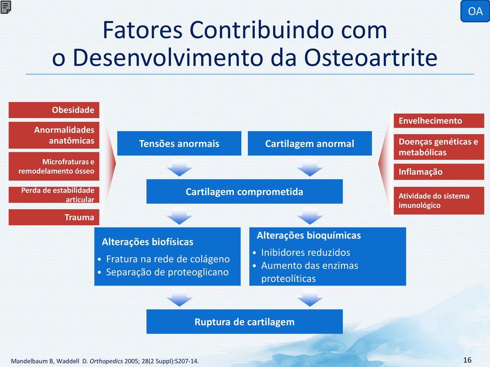 biofísicas Fratura na rede de colágeno Separação de proteoglicano Cartilagem comprometida Alterações bioquímicas Inibidores reduzidos Aumento