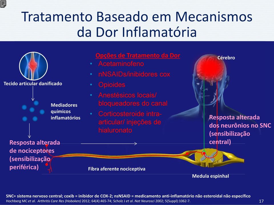 hialuronato Resposta alterada dos neurônios no SNC (sensibilização central) Fibra aferente nociceptiva Medula espinhal SNC= sistema nervoso central; coxib = inibidor de COX-2;