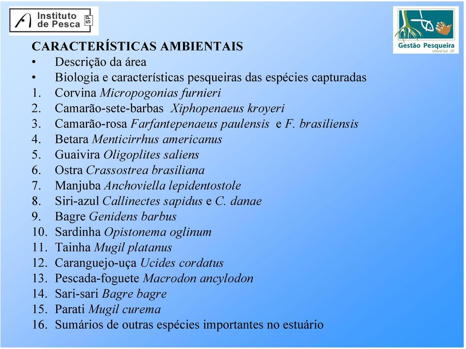 Ostra Crassostrea brasiliana 7. Manjuba Anchoviella lepidentostole 8. Siri-azul Callinectes sapidus e C. danae 9. Bagre Genidens barbus 10. Sardinha Opistonema oglinum 11.