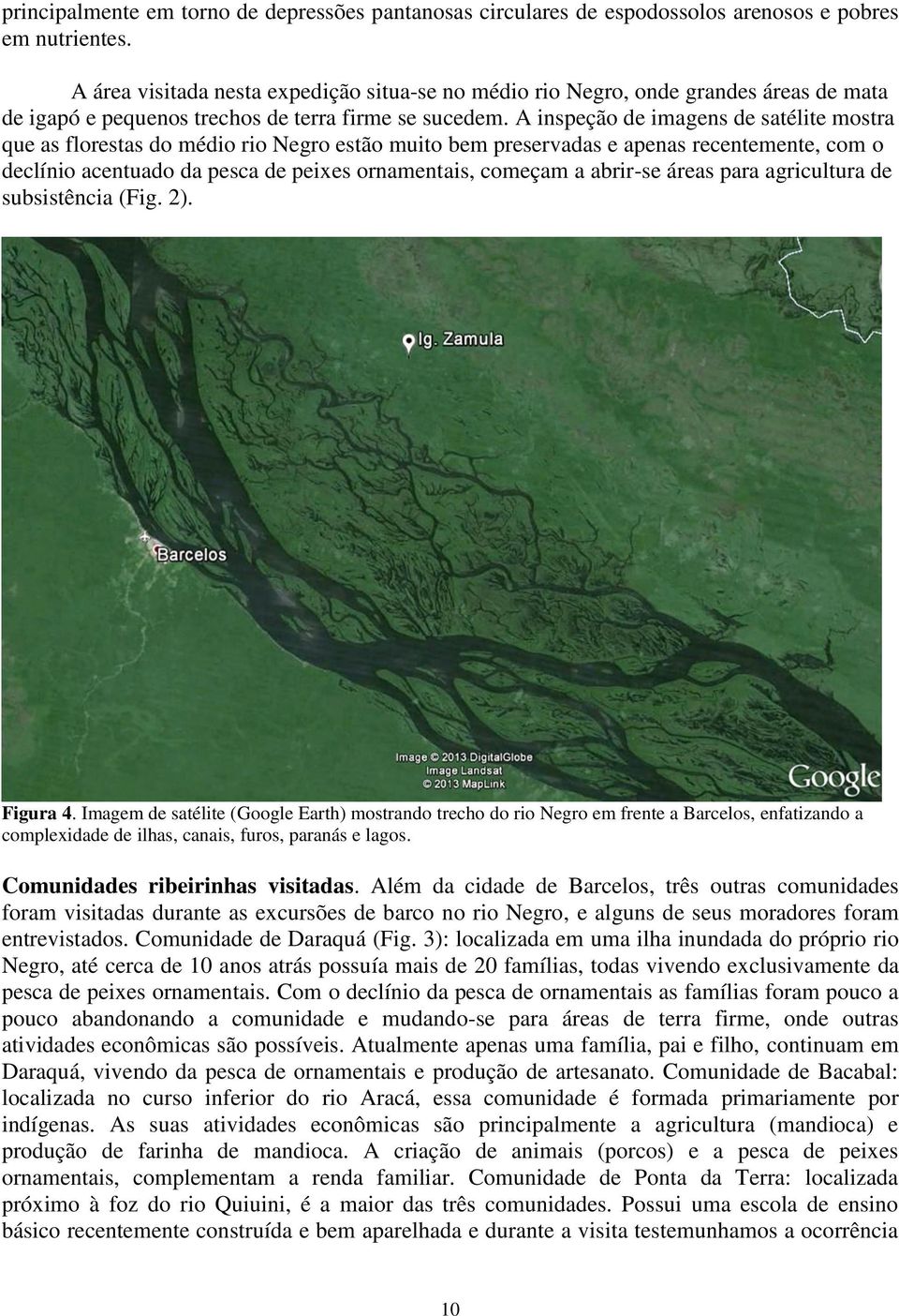 A inspeção de imagens de satélite mostra que as florestas do médio rio Negro estão muito bem preservadas e apenas recentemente, com o declínio acentuado da pesca de peixes ornamentais, começam a