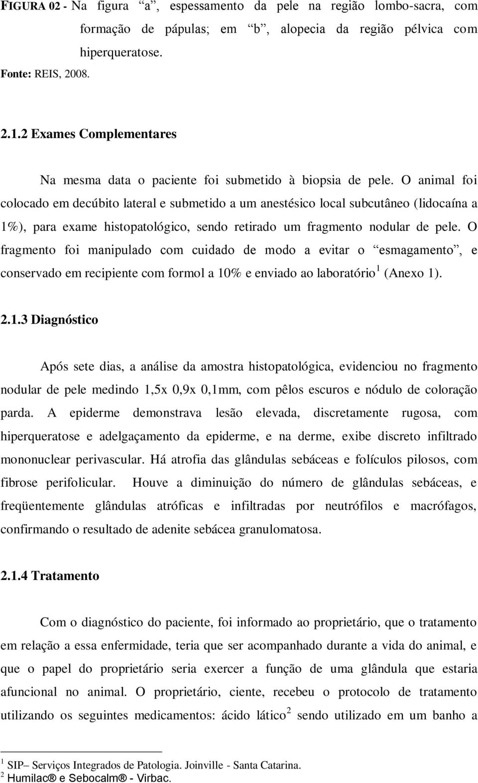 O animal foi colocado em decúbito lateral e submetido a um anestésico local subcutâneo (lidocaína a 1%), para exame histopatológico, sendo retirado um fragmento nodular de pele.