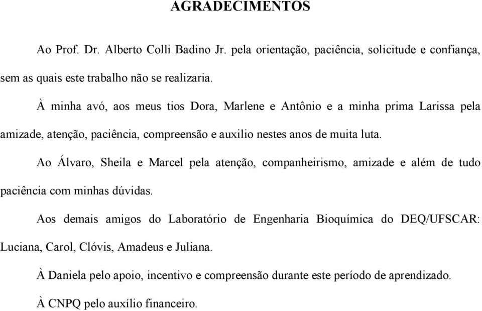 Ao Álvaro, Sheila e Marcel pela atenção, companheirismo, amizade e além de tudo paciência com minhas dúvidas.