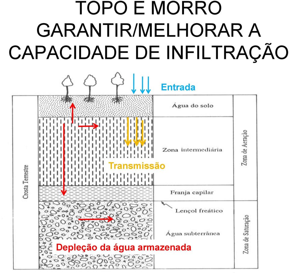 CAPACIDADE DE INFILTRAÇÃO