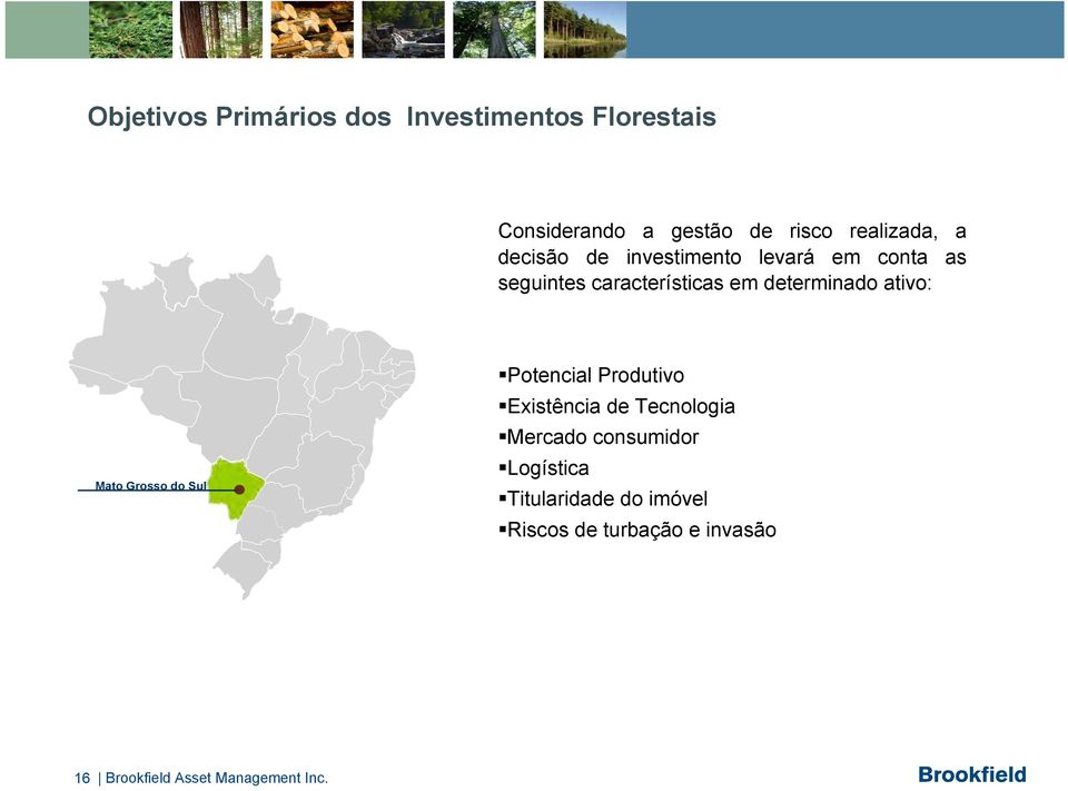 ativo: Mato Grosso do Sul Ž Potencial Produtivo Existência de Tecnologia Mercado consumidor