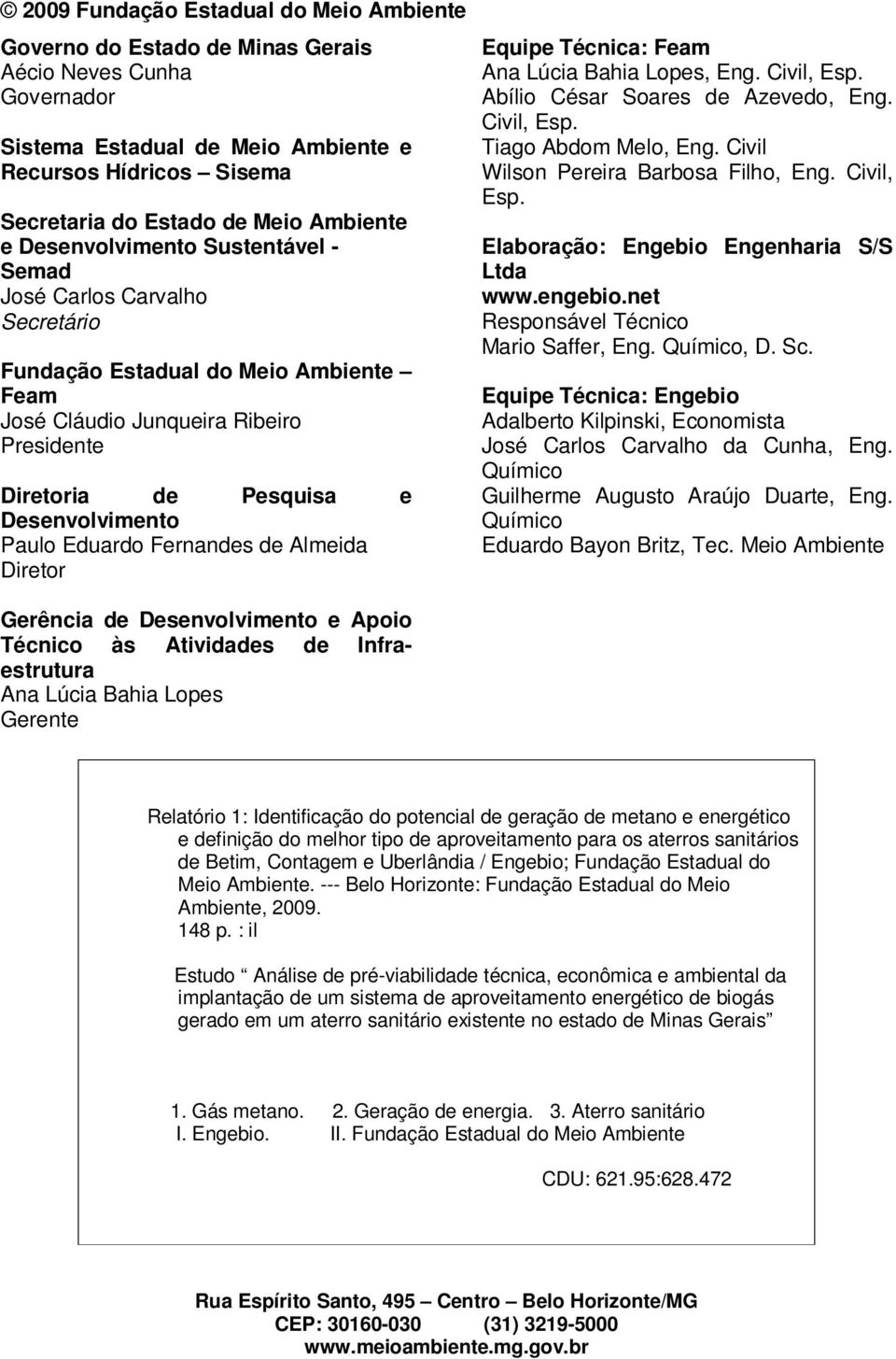 Desenvolvimento Paulo Eduardo Fernandes de Almeida Diretor Gerência de Desenvolvimento e Apoio Técnico às Atividades de Infraestrutura Ana Lúcia Bahia Lopes Gerente Equipe Técnica: Feam Ana Lúcia