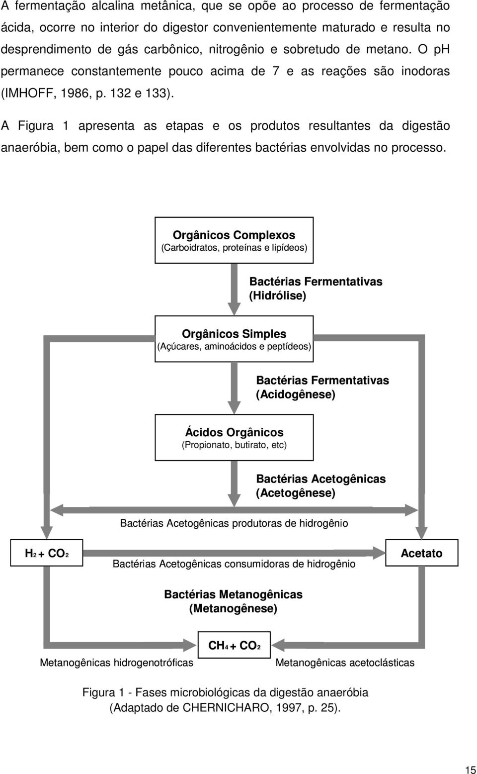 A Figura 1 apresenta as etapas e os produtos resultantes da digestão anaeróbia, bem como o papel das diferentes bactérias envolvidas no processo.