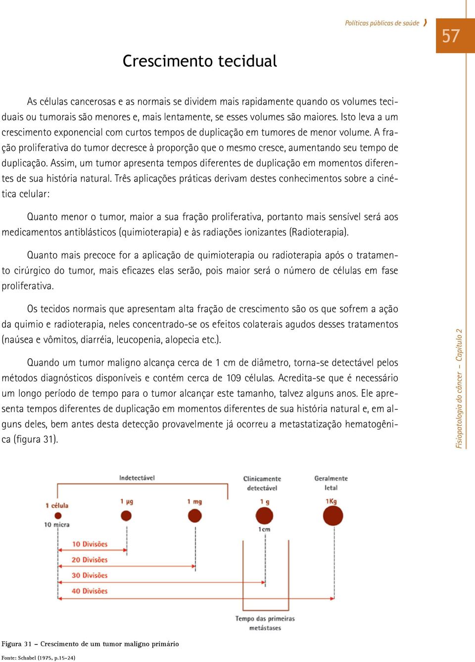 A fração proliferativa do tumor decresce à proporção que o mesmo cresce, aumentando seu tempo de duplicação.