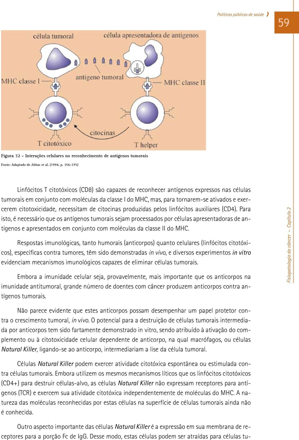 citotoxicidade, necessitam de citocinas produzidas pelos linfócitos auxiliares (CD4).