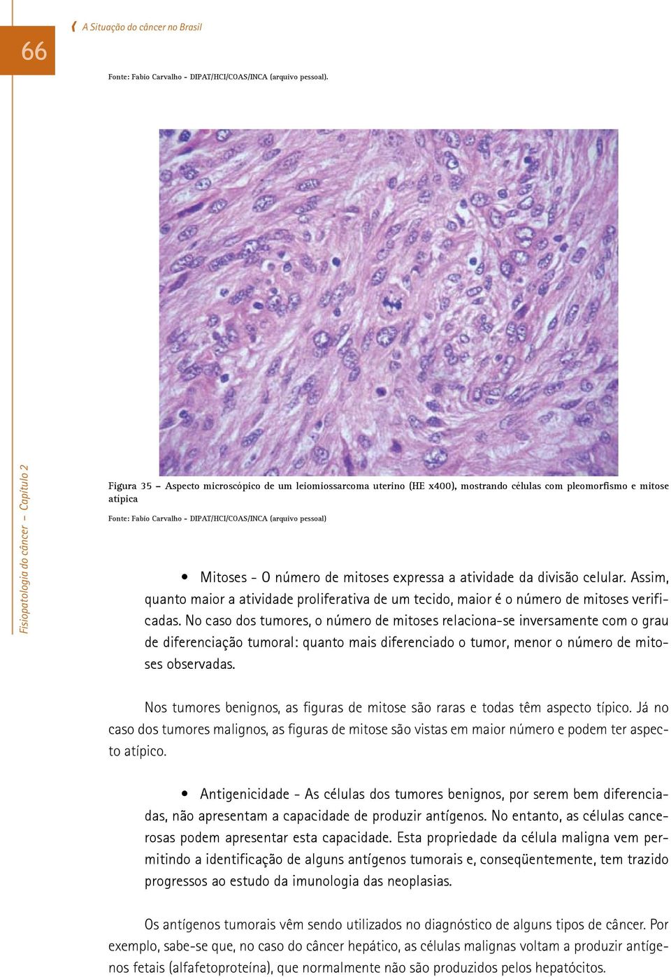 número de mitoses expressa a atividade da divisão celular. Assim, quanto maior a atividade proliferativa de um tecido, maior é o número de mitoses verificadas.