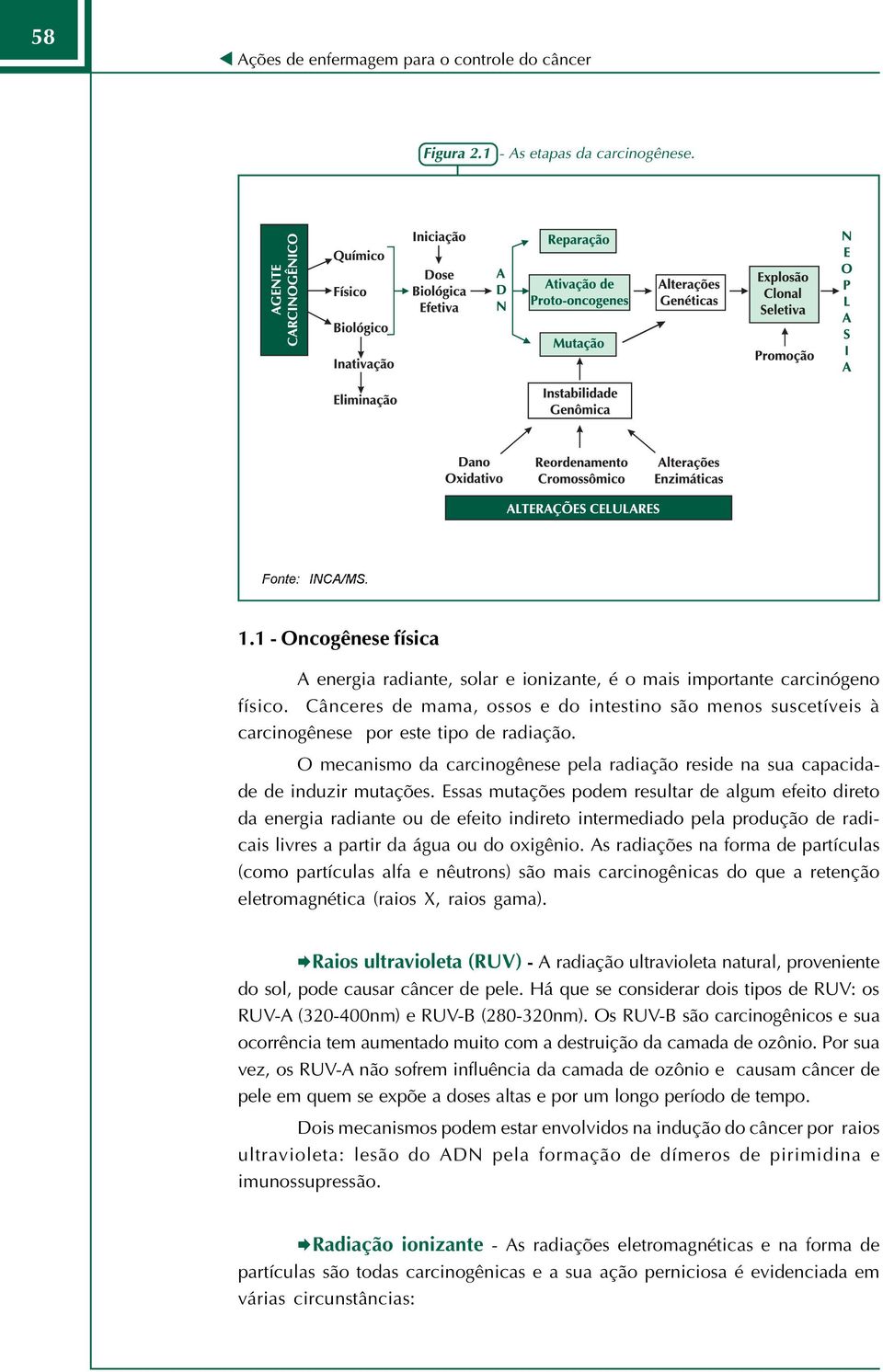 Cânceres de mama, ossos e do intestino são menos suscetíveis à carcinogênese por este tipo de radiação. O mecanismo da carcinogênese pela radiação reside na sua capacidade de induzir mutações.