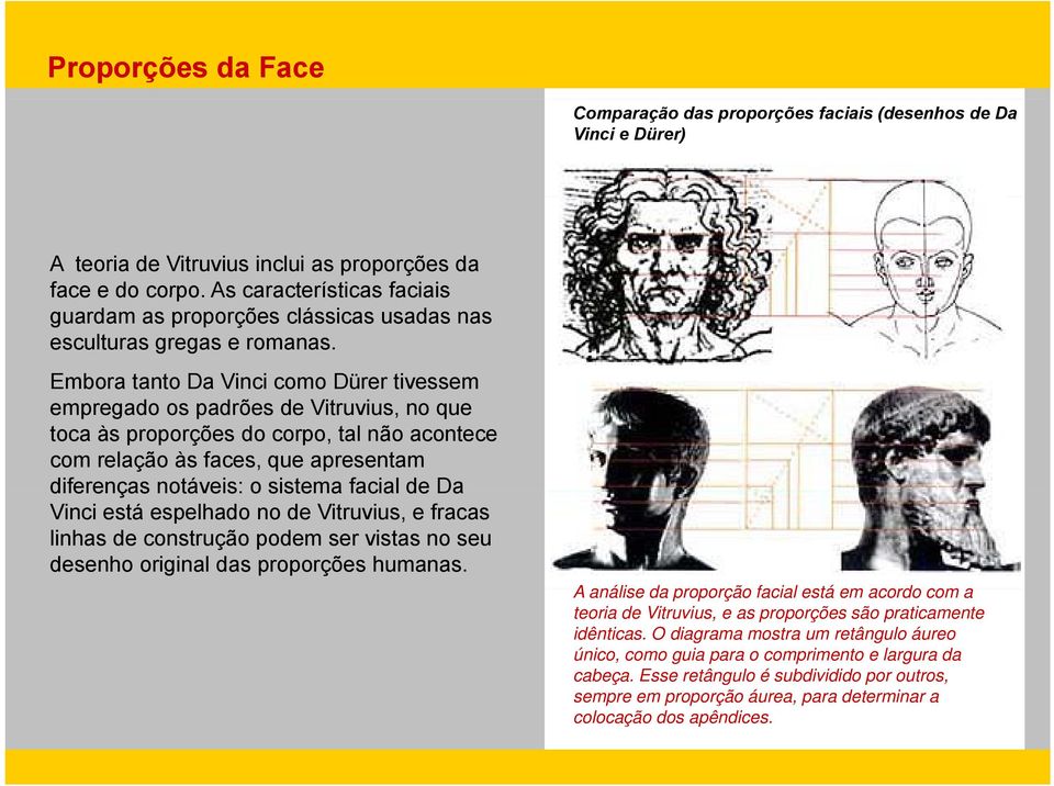 Embora tanto Da Vinci como Dürer tivessem empregado os padrões de Vitruvius, no que toca às proporções do corpo, tal não acontece com relação às faces, que apresentam diferenças notáveis: o sistema