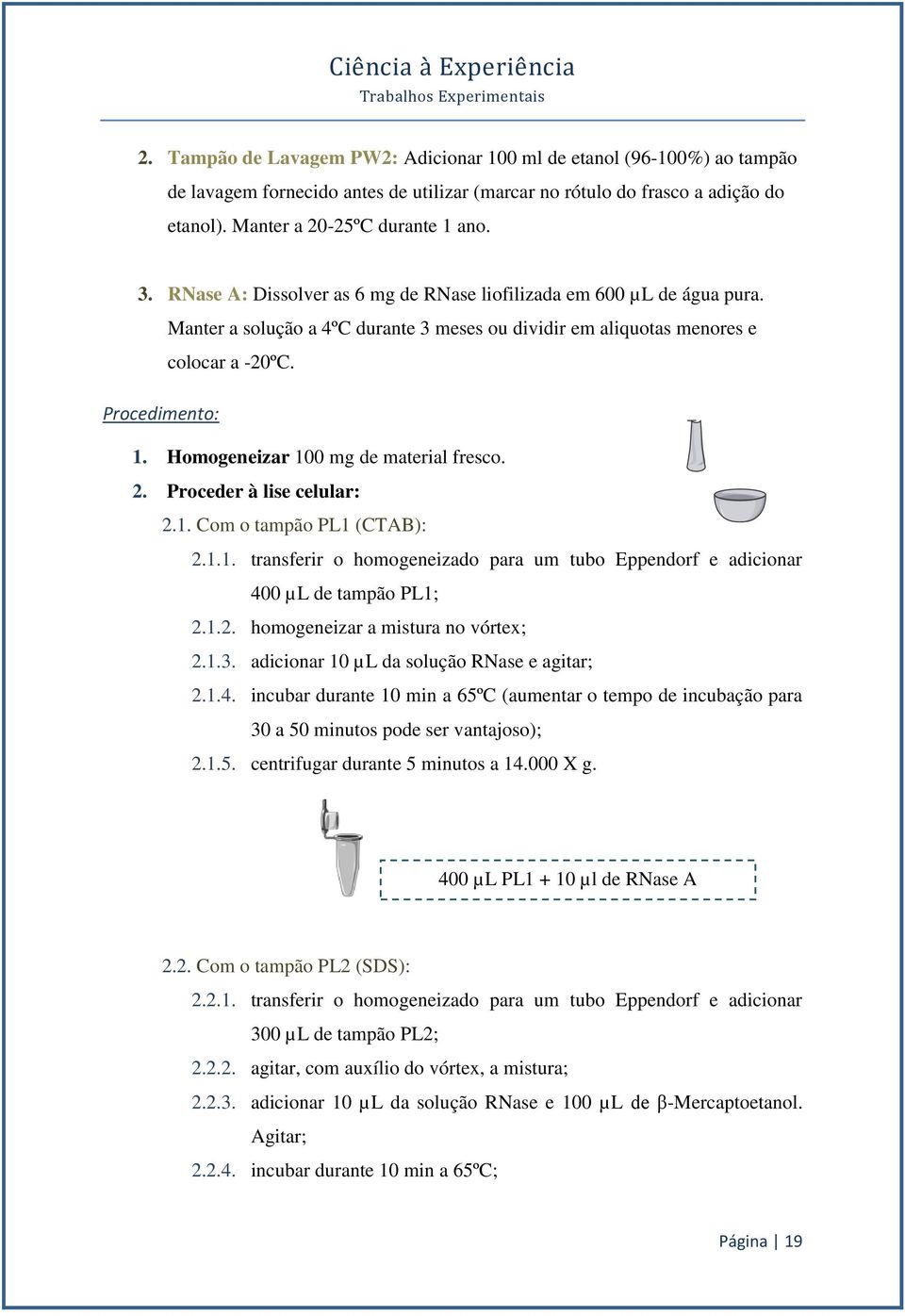 Homogeneizar 100 mg de material fresco. 2. Proceder à lise celular: 2.1. Com o tampão PL1 (CTAB): 2.1.1. transferir o homogeneizado para um tubo Eppendorf e adicionar 400 µl de tampão PL1; 2.1.2. homogeneizar a mistura no vórtex; 2.