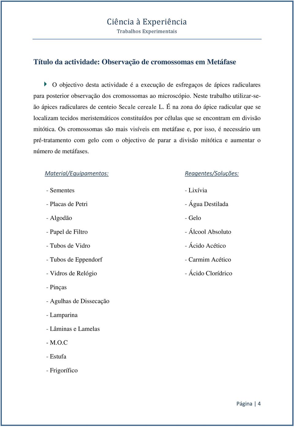 É na zona do ápice radicular que se localizam tecidos meristemáticos constituídos por células que se encontram em divisão mitótica.