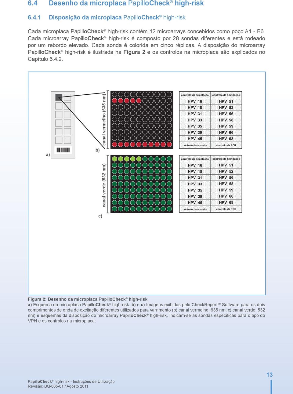 A disposição do microarray PapilloCheck high-risk é ilustrada na Figura 2 