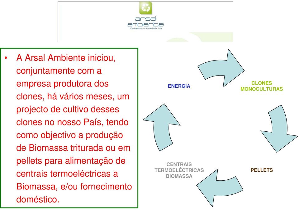 de Biomassa triturada ou em pellets para alimentação de centrais termoeléctricas a