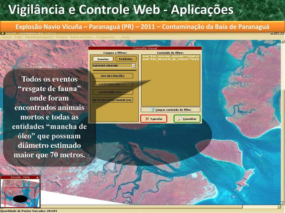 eventos resgate de fauna onde foram encontrados animais mortos e