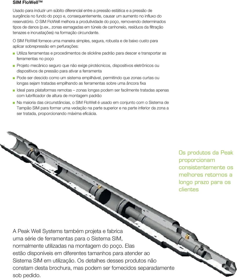 , zonas esmagadas em túneis de canhoneio, resíduos da filtração tenazes e incrustações) na formação circundante.