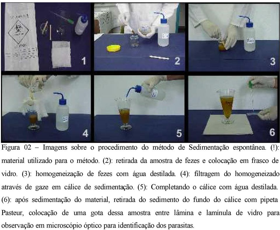 (4): filtragem do homogeneizado através de gaze em cálice de sedimentação. (5): Completando o cálice com água destilada.